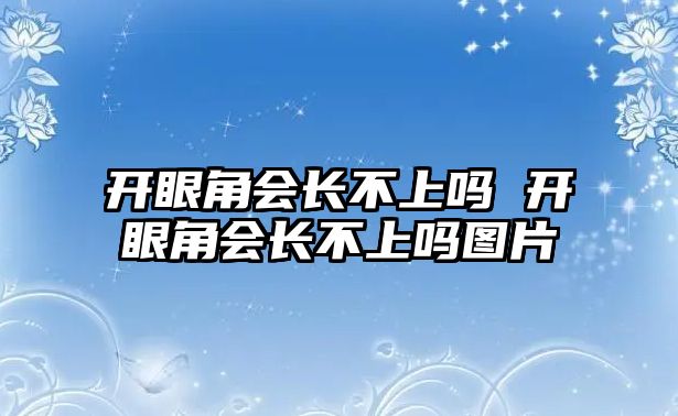 開眼角會長不上嗎 開眼角會長不上嗎圖片