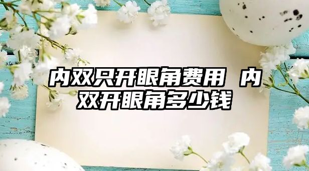 內雙只開眼角費用 內雙開眼角多少錢