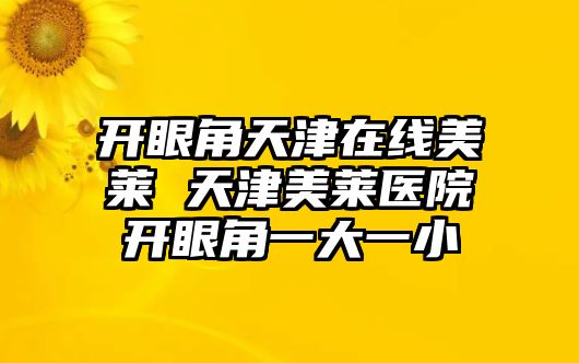 開眼角天津在線美萊 天津美萊醫院開眼角一大一小